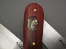squirrel--- 001.jpg