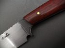 bloodwood 002.jpg