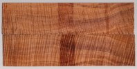 koa_502_sm.jpg