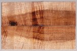 koa_507_sm.jpg