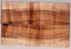 koa_508_sm.jpg