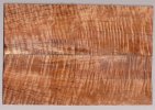 koa_509_sm.jpg