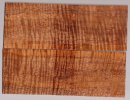 koa_510_sm.jpg
