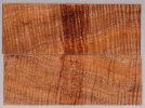 koa_511_sm.jpg