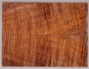 koa_512_sm.jpg