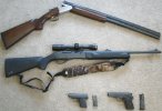 Guns 001.jpg