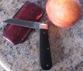 BJ.nectarine.slip.jpg