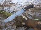 NL1-Sambar-Crown-040.jpg
