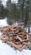 20190110_151630.jpg