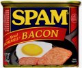 spam-with-real-hormel-bacon-455.jpg