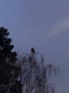 IMG_5148.JPG