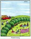 Far Side Falconry.jpg
