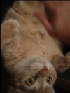 Screenshot_2019-12-26-05-20-05~2.png