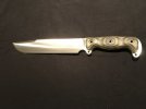 Busse ASHBMS LE 4.jpg Busse ASHBMS LE 4.jpg