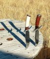 RMK S Guards.jpg
