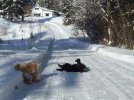 DSCF8275 DAISY DEZ ROLL SNOW LANEWAY HOUSE 650 MED.jpg