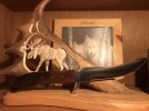 1170D116-8C57-4CBC-987E-D7F45D0EA6E3.jpeg