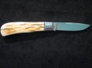 Menefee Ivory BackPocket 002.jpg