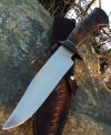 First.fighter_0610.jpg