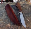 Clario.walnut.hunter_0600.jpg