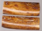 mammoth__204_sm.jpg