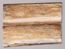 mammoth_217_sm2.jpg