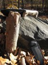 BK-2 in log.jpg