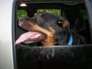 Holley&Ginger 004.jpg
