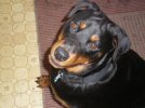 Holley&Ginger 006.jpg