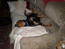 Holley&Ginger 026.jpg