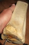 GiraffeBone.jpg