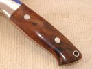 Knife Hunter #187 LLHUNTER3 IronwoodCPM154 LOGOHNDL.jpg