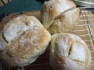 DSCF8345 SOURDOUGH BOULE 650 MED.jpg