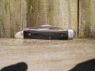 Peanut G10-1.JPG