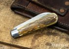 northwoods-heritage-jack-mammoth-ivory-b-43__72699.1579033105.jpg
