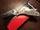Delica.jpg