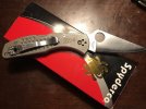 Delica 2.jpg