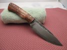 sanmai3maple 002.jpg