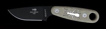 Izula+Ant2.jpg