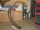 180 pound tusk.jpg
