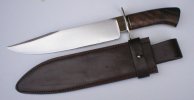 Fisk and sheath (640x332) (500x259).jpg