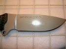 07se badger rt blade.JPG