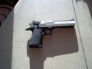 DEsertEagle,etc2 003.jpg