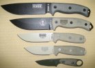 ESEE family L sm.jpg