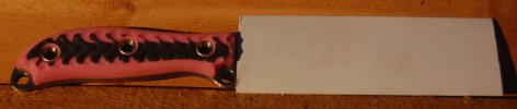 DSC_0016 small.JPG