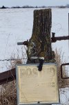 IMG_1834.JPG