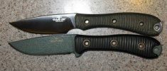 RScompare1sm.jpg