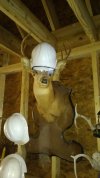 IMG_20200202_162316.jpg