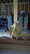 IMG_20200202_160003.jpg