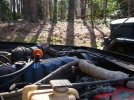 DSC01555.jpg